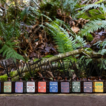 Load image into Gallery viewer, National Parks Reed Diffuser - Tigertree