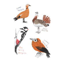 Load image into Gallery viewer, Field Guide to Dumb Birds Sticker Book - Tigertree