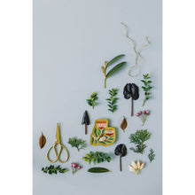 Load image into Gallery viewer, Venus Trinket Tray - Tigertree