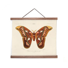 Load image into Gallery viewer, 14x11 d&#39;Orbigny Atlas Moth Print - Tigertree
