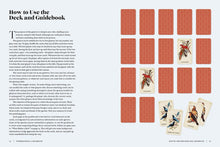 Load image into Gallery viewer, Vintage Birds Guidebook & Matching Game