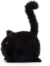 Load image into Gallery viewer, Kitten Caboodle Black - Tigertree
