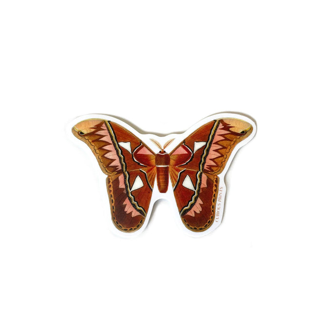 Vintage Atlas Moth Sticker - Tigertree