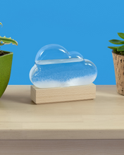 Load image into Gallery viewer, Storm Cloud