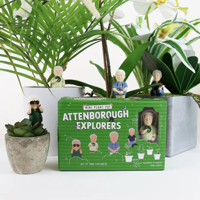 Mini Plant Pot Attenborough Explorer - Tigertree