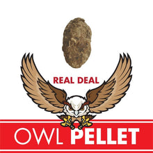 Load image into Gallery viewer, Owl Pellet - Tigertree