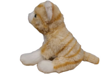 Load image into Gallery viewer, Pumpkin the Canned Orange Tabby Cat