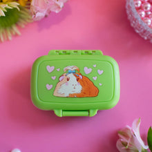 Load image into Gallery viewer, Guinea Pig Pill Case - Tigertree