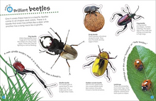 Load image into Gallery viewer, The Ultimate Sticker Book: Bugs