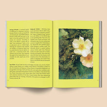 Load image into Gallery viewer, Fruit of Mythic Dreaming: Imagined Folklore