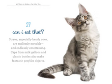 Load image into Gallery viewer, 97 Ways to Make a Cat Like You