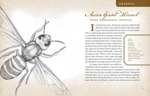 Load image into Gallery viewer, Wicked Bugs