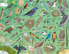 Load image into Gallery viewer, Nature Anatomy: Birds Puzzle