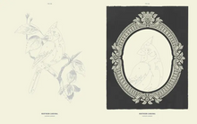 Load image into Gallery viewer, Coloready Birds