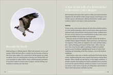 Load image into Gallery viewer, Birds of the Great Lakes