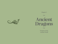 Load image into Gallery viewer, Pocket Book of Dragons