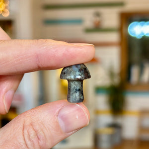 Tiny Crystal Mushroom - Tigertree