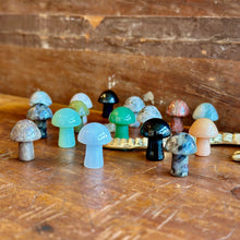 Load image into Gallery viewer, Tiny Crystal Mushroom - Tigertree