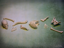Load image into Gallery viewer, Itty Bitty Glow Bones- Bag of 10 - Tigertree