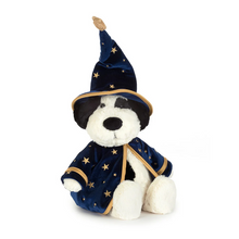 Load image into Gallery viewer, Rufferty Puppy Wizard Outfit