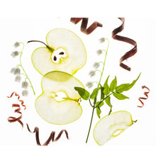 Load image into Gallery viewer, Power Mist Hydrating Hand Sanitizer Applelicious