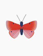 Load image into Gallery viewer, Speckled Copper Butterfly Kit - Tigertree