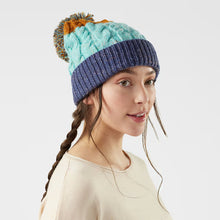Load image into Gallery viewer, Isto Retro Beanie - Tigertree