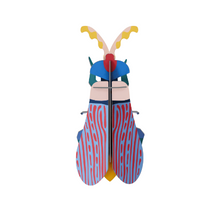 Load image into Gallery viewer, Striped Wing Beetle - Tigertree