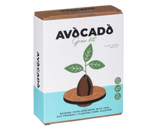 Load image into Gallery viewer, Avocado Grow Kit - Tigertree
