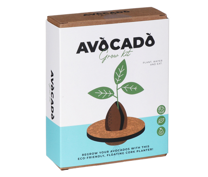 Avocado Grow Kit - Tigertree