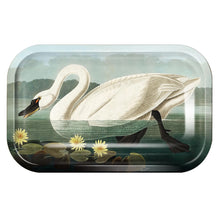 Load image into Gallery viewer, Small Metal Audubon Swan Catchall Tray - Tigertree