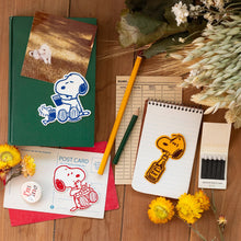 Load image into Gallery viewer, Snoopy Cherry Basket Magnet - Tigertree