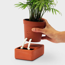 Load image into Gallery viewer, Self Care Planter - Tigertree