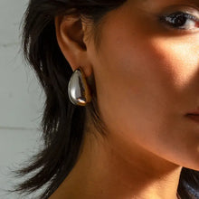 Load image into Gallery viewer, Aura Earrings - Tigertree
