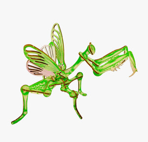 Arthropoda Mantis Kit - Tigertree