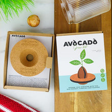 Load image into Gallery viewer, Avocado Grow Kit - Tigertree
