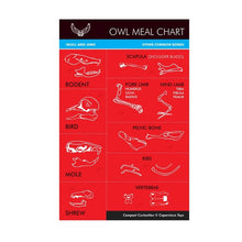 Load image into Gallery viewer, Owl Pellet - Tigertree