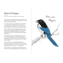 Load image into Gallery viewer, A Dumb Birds Field Guide to the Worst Birds Ever - Tigertree