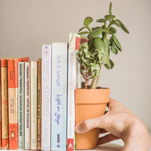 Load image into Gallery viewer, Plant Pot Bookends - Tigertree