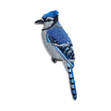 Load image into Gallery viewer, Blue Jay Patch