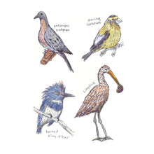 Load image into Gallery viewer, Field Guide to Dumb Birds Sticker Book - Tigertree