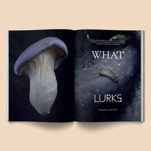 Load image into Gallery viewer, Mushroom People Magazine: Vol. 2