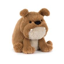 Load image into Gallery viewer, Derreck Dog