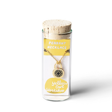 Load image into Gallery viewer, Combination Padlock Necklace