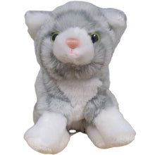 Load image into Gallery viewer, Pearl the Canned Grey Tabby Cat - Tigertree