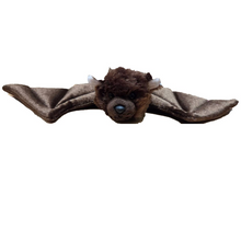 Load image into Gallery viewer, Mochi the Canned Bat