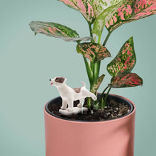 Load image into Gallery viewer, Pee My Plants Dog Watering Decoration - Tigertree
