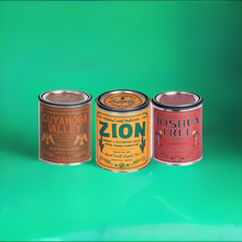 Load image into Gallery viewer, National Park Pint Candle - Tigertree