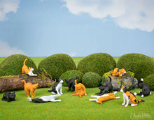 Load image into Gallery viewer, Itty Bitty Cats - Set of 12 - Tigertree