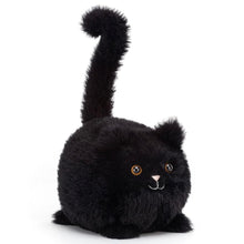 Load image into Gallery viewer, Kitten Caboodle Black - Tigertree

